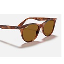 Ray-Ban Wayfarer