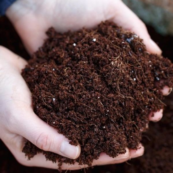 Organic Manure