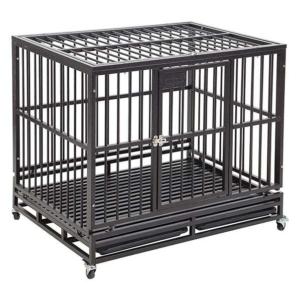 Dog Cages