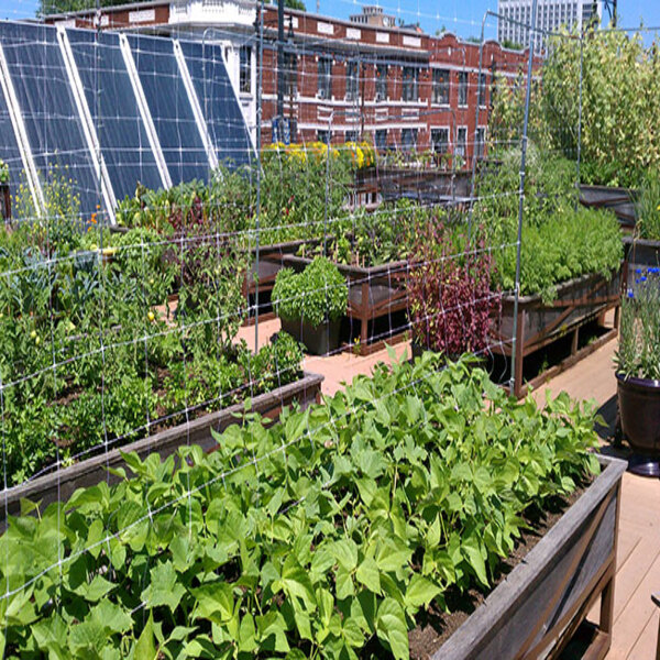 Farm in a Box