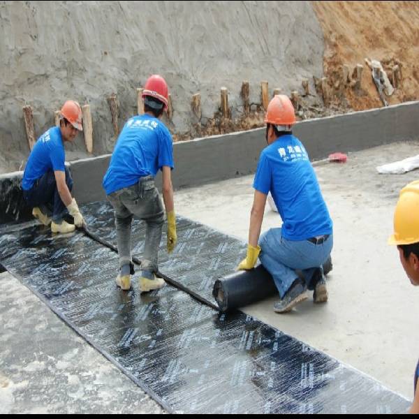 Membrane Water Proofing