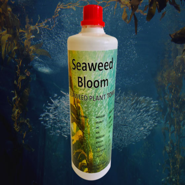 Seaweed Extract Tonic