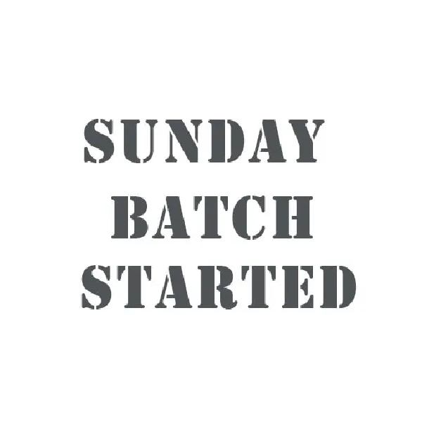 Sunday Batch