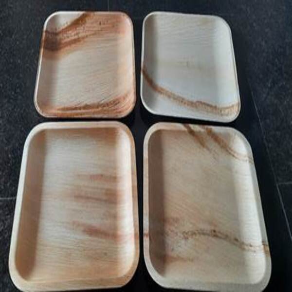 Areca Leaf Disposable Plates (Square)