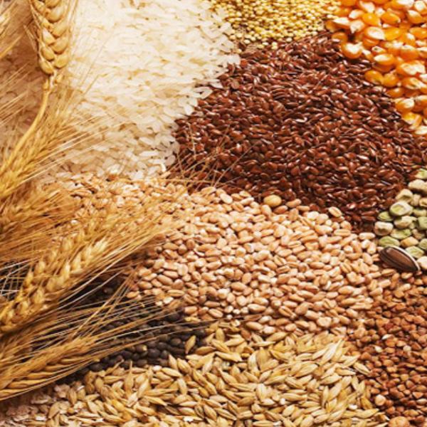 M/s V Radhakrishnan Erady, Merchants and Commission Agents+Food Grains