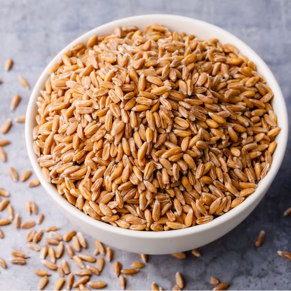 M/s V Radhakrishnan Erady, Merchants and Commission Agents+Wheat and Wheat Products