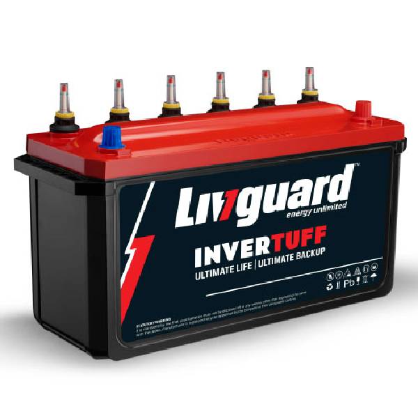 BS Energy+Livguard Short Tubular Battery
