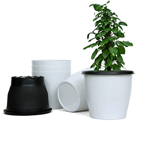 Terra - The gardening solutions+Plastic Pots